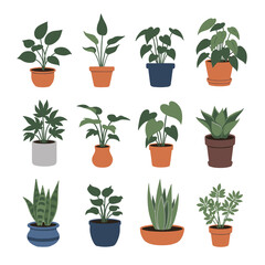 Fototapeta premium Collection of various potted houseplants in different pots