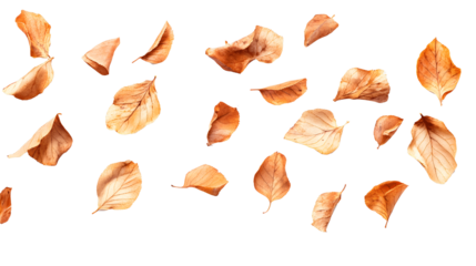 Birnen Stucke fallend isoliert auf weien Hintergr transparent background .png