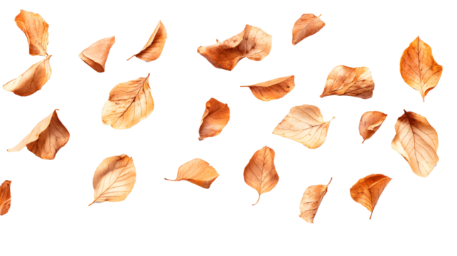 Birnen Stucke fallend isoliert auf weien Hintergr transparent background .png