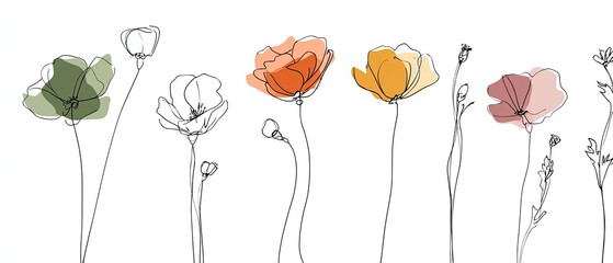 Line art of stylized poppy flowers in various colors