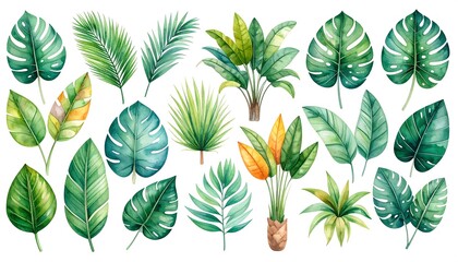 Obraz premium Tropical leaf collection, vibrant colors