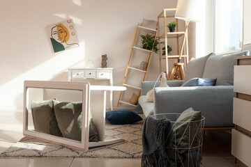 Interior of messy living room with grey sofa, overturned coffee table and shelving units after...