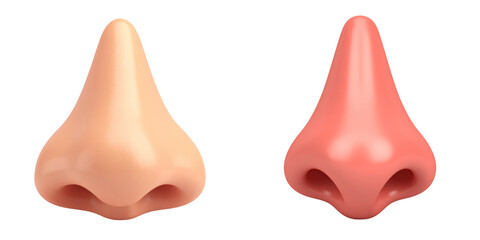 3D Plastic Style Anatomical Noses In Pink And Peach Colors Isolated Against Transparent Background