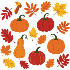 Colorful autumn harvest with pumpkins and fall leaves pattern – stock vector flat illustration