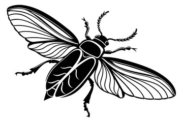 Firefly beetle sihouette black vector