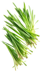 Obraz premium Flying Fresh Green Lemongrass Leaves in Motion isolated on transparent white background, clipping path