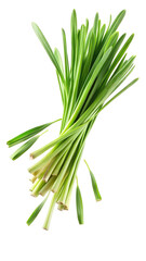 Fototapeta premium Flying Fresh Green Lemongrass Leaves in Motion isolated on transparent white background, clipping path