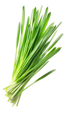 Fototapeta premium Flying Fresh Green Lemongrass Leaves in Motion isolated on transparent white background, clipping path