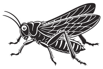 Thrip animal sihouette black vector