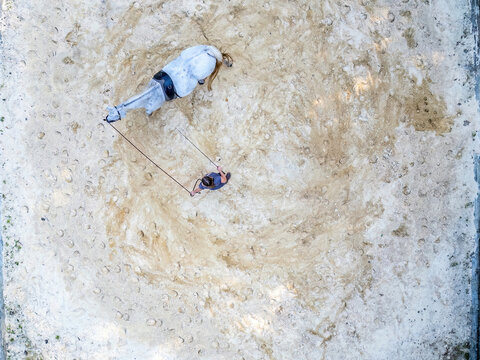 Aerial view of person lunging horse in round pen &ndash; equestrian training from above
