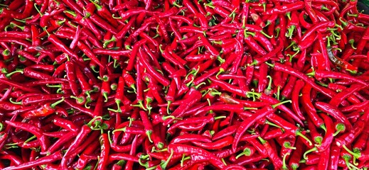 Fototapeta premium red and yellow flower