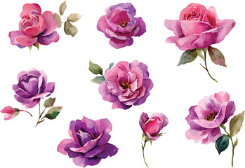Fototapeta premium bouquet of pink roses
