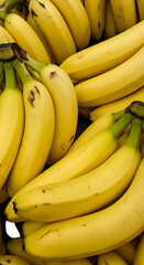 Photo of Ripe Yellow Bananas Bunch with Green Stems on a Black Background