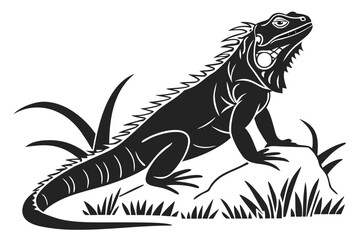 Iguana sihouette black vector