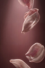 Falling pink petals with delicate texture against a soft - toned background