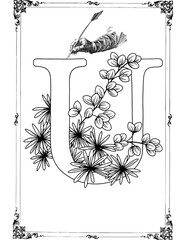 Floral 'Z' Monogram with Pen and Ink