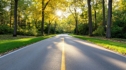 Fototapeta premium Serene road lined with trees showcases vibrant autumn colors, illuminated by warm sunlight