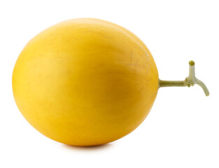 Golden Melon isolated on a transparent background