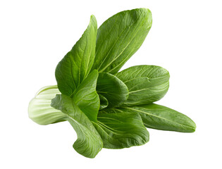 Young organic white bok choy or bak choi Chinese cabbage isolated on transparent backgound