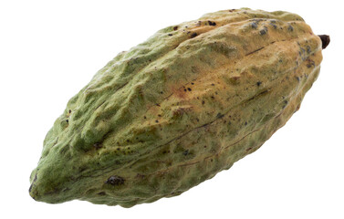 Ripe Cocoa Fruit Pod with Textured Outer Shell isolated on a transparent background
