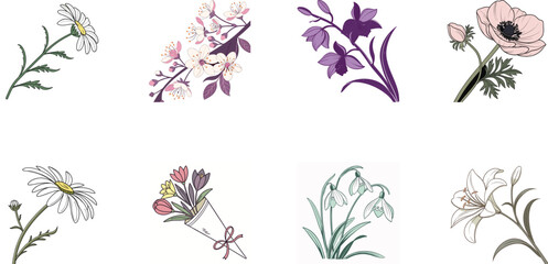 Bundle of 8 Colorful Botanical Flower Illustrations – Vintage Floral Clipart Set for Print, Design, and Digital Art Projects