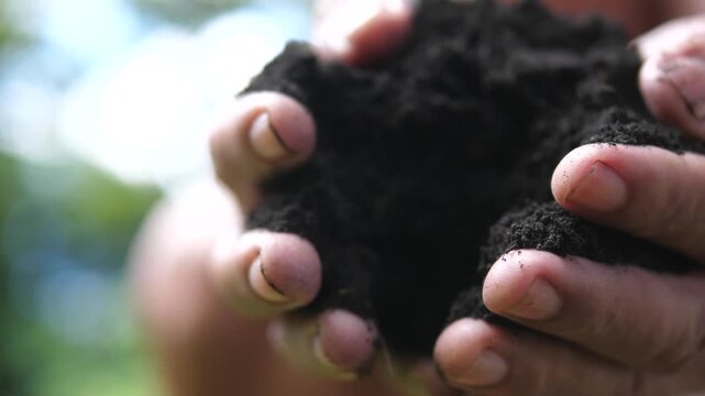 Hands Holding Rich Black Soil for Gardening and Planting