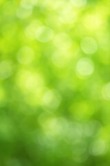 Fototapeta premium Background nature bloom with blur and harmony inspires growth and ecology in vibrant environment