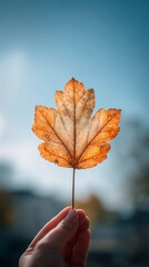 Hand holding autumn maple leaf against blue sky on sunny day, vertical photo