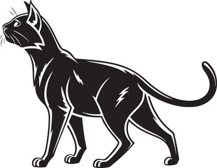 Black cat standing profile with white accents feline