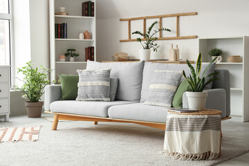 Interior of stylish living room with grey sofa, houseplants and shelving unit
