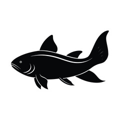 Obraz premium minimal vector silhouette of a redtail catfish s.eps