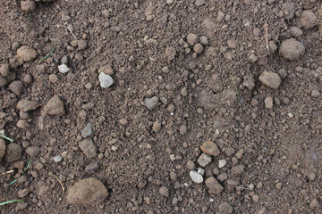 Close-up of natural brown soil surface with small stones and dry clumps. Ideal for backgrounds, agriculture, farming, or environmental themes