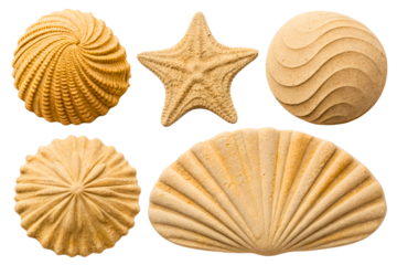 Collection of various sand shapes including starfish and shells isolated with transparent background
