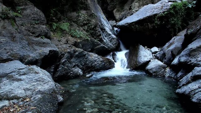 A serene view of a freshwater stream flowing from the Bangoru Waterfall in the lush green forest of Kangra district, Himachal Pradesh, India.