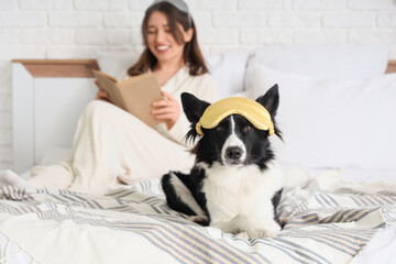 Beautiful young woman reading book in bed, focus on cute Border Collie dog with sleep mask
