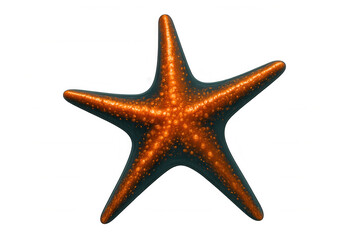 Close-up of a textured orange starfish, isolated on a transparent background, perfect for marine life or coastal-themed projects