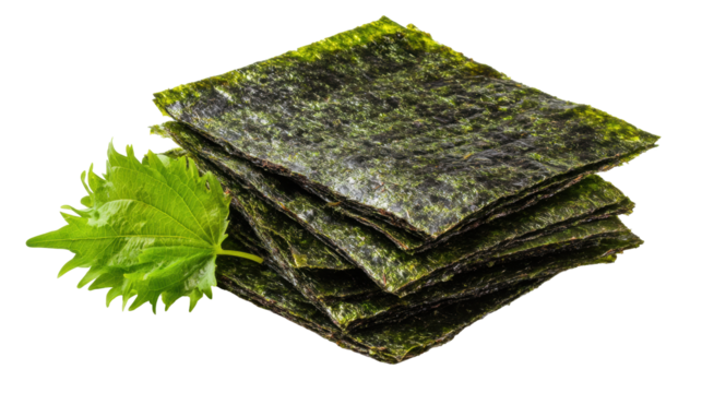 Dried seaweed sheets isolated on transparent background with fresh green leaf for healthy snack