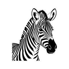 The zebra's unique stripes reflect its personality and wild life, presenting a different kind of artistic thought.