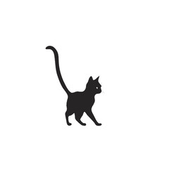 black cat vector illustration 