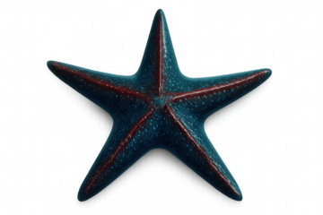 Vibrant blue starfish displaying bold red stripes, marine organism isolated on transparent background for design projects