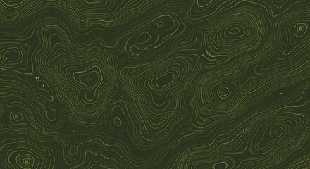 Fototapeta premium Topographic Contour Lines Abstract Vector Pattern