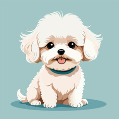 cute maltipoo, lapdog, ,maltese, dog, pet, handmade drawing vector illustration, poster, banner, isolated on background
