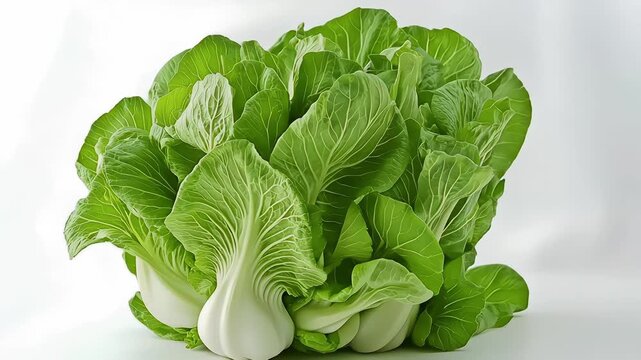 Fresh Bok Choy (Pak Choi) Bunches with Crisp White Stems and Lush Green Leaves on White Background, Showcasing Healthy, Organic Asian Leafy Vegetables