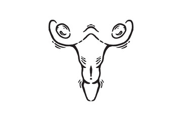 Hand drawn Uterus Womb icon vector sketch illustration