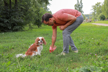 A male dog owner collects his pet's excrement in a plastic bag in a park to maintain order. concept...