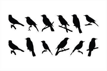 Birds set black silhouette isolated vector
