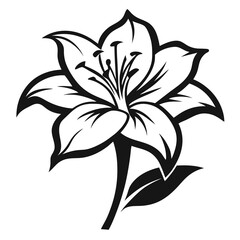 vector illustration of a lily