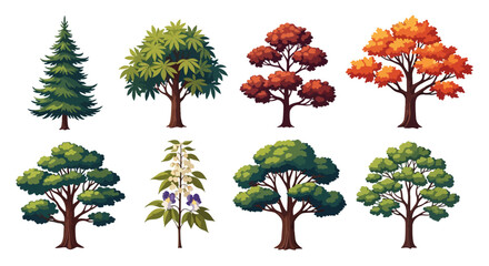 Vector Tree Collection &ndash; Pine, Maple, Oak, Autumn Trees, and More Cartoon Style Illustrations