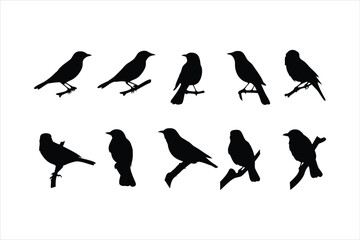 Birds set black silhouette isolated vector