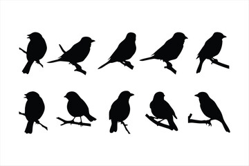 Birds set black silhouette isolated vector